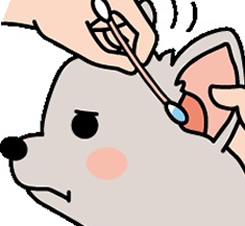 犬の耳のお手入れ